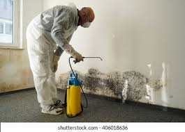 Mold Remediation for Rental Properties in Rossville, TN